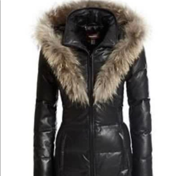 danier winter coats